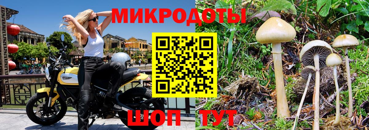 Лениногорск  Галлюциногенные грибы MAGIC MUSHROOMS  Вход с VPN  Галлюциногенные грибы MAGIC MUSHROOMS 